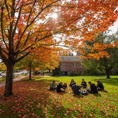 Students sitting outside during fall