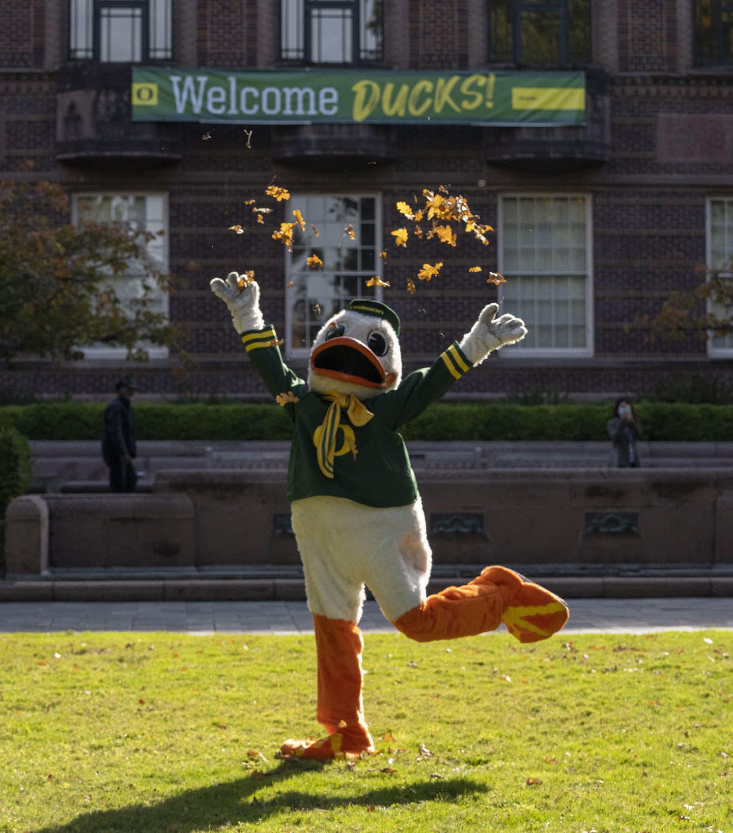 Oregon Duck