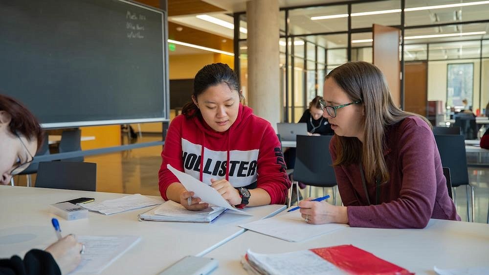 Student and Professor discussing academic work