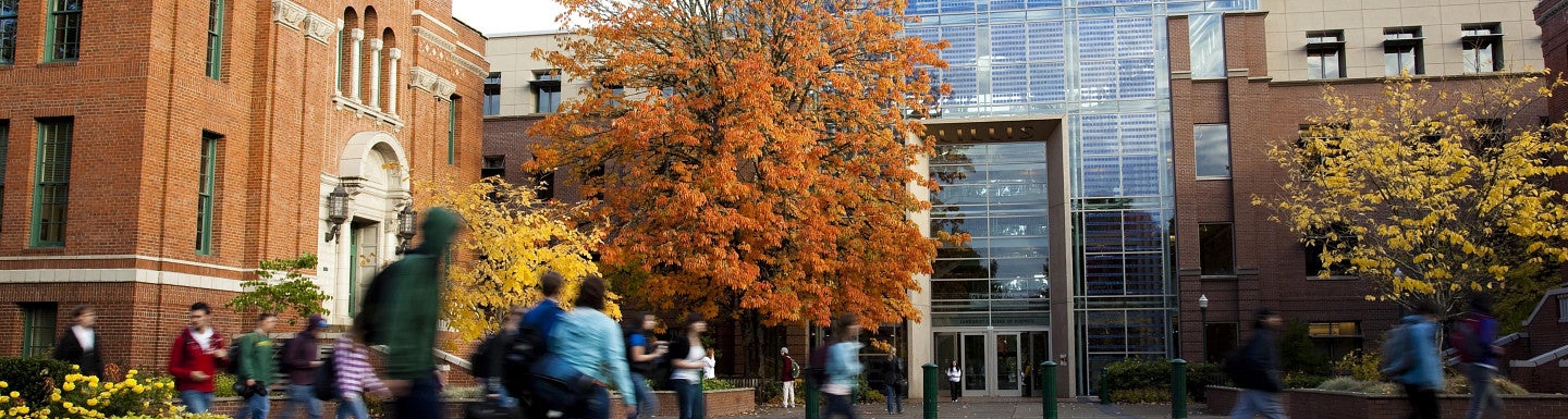 Students walking on fall campus