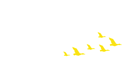 international education month